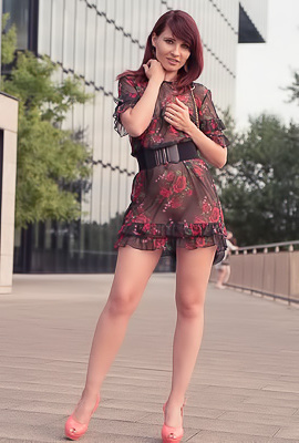 Jeny Smith Sheer Dress